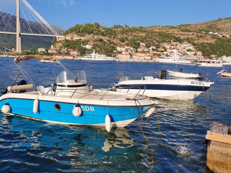 Marina Frapa at Gruž Harbour, our daily departure point